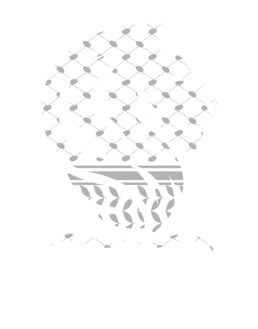 Merith Technologies Logo